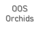 OOS Orchids
